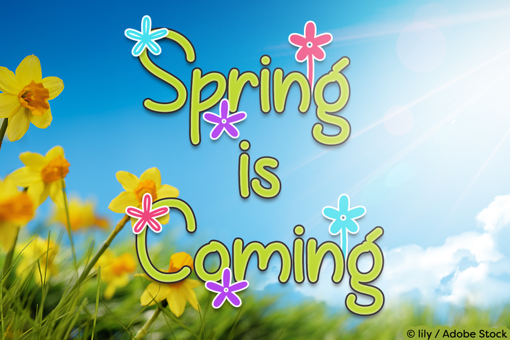 Spring is Coming字体 1