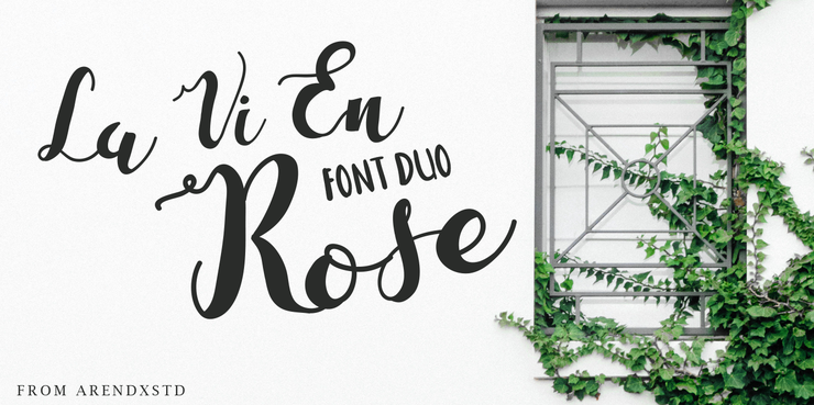 La Vi En Rose字体 1
