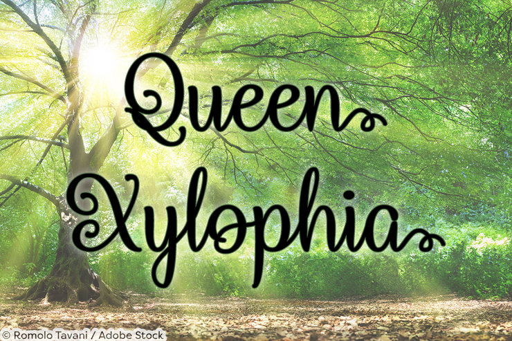 Queen Xylophia字体 2
