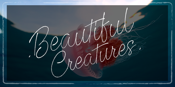 Beautiful Creatures字体 2