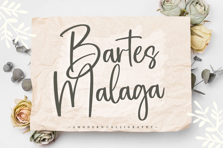Bartes Malaga字体 1