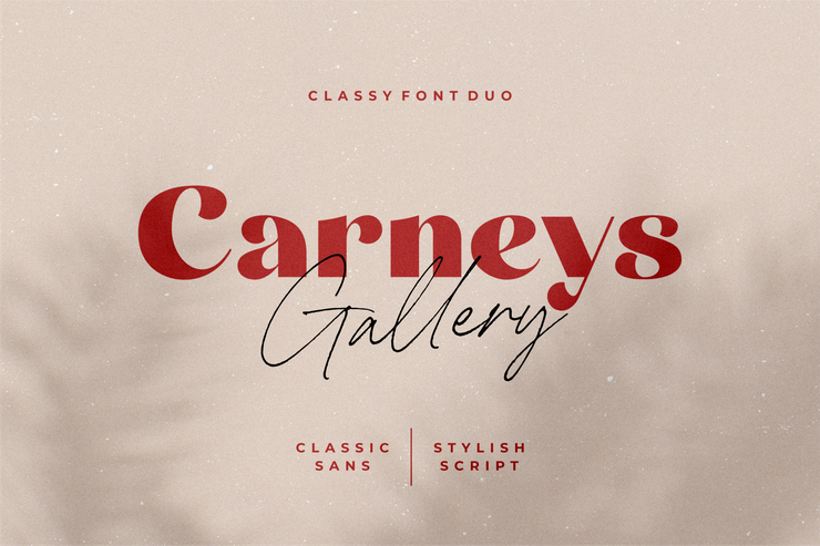 Carneys Gallery Script字体 2