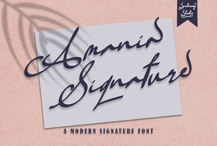 Amania Signature字体 1