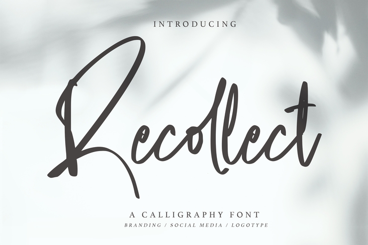 Recollect字体 3