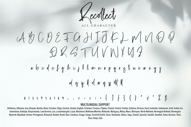 Recollect字体 5