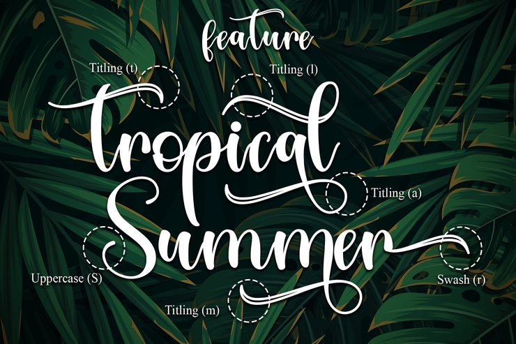 Tropical Leaves字体 1