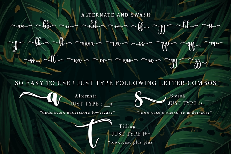Tropical Leaves字体 5