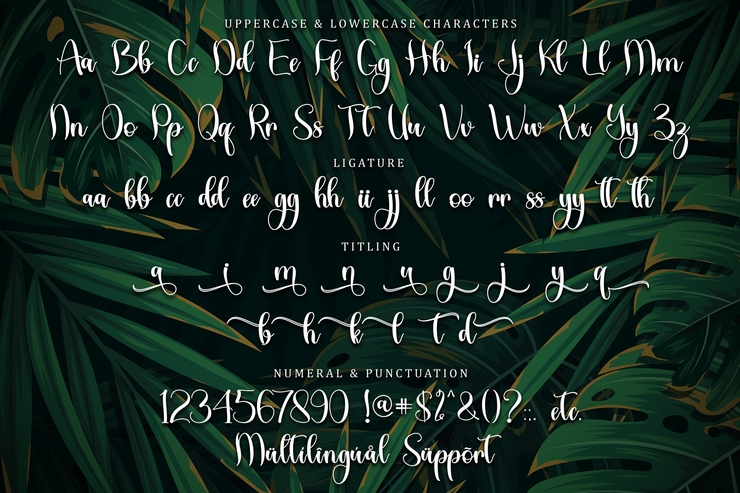 Tropical Leaves字体 10