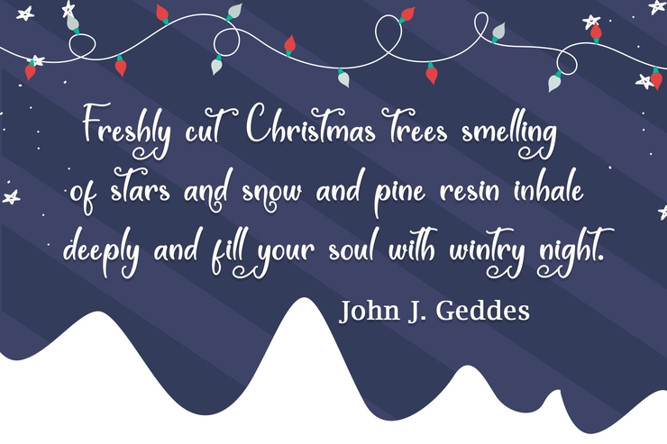 Winter White字体 6