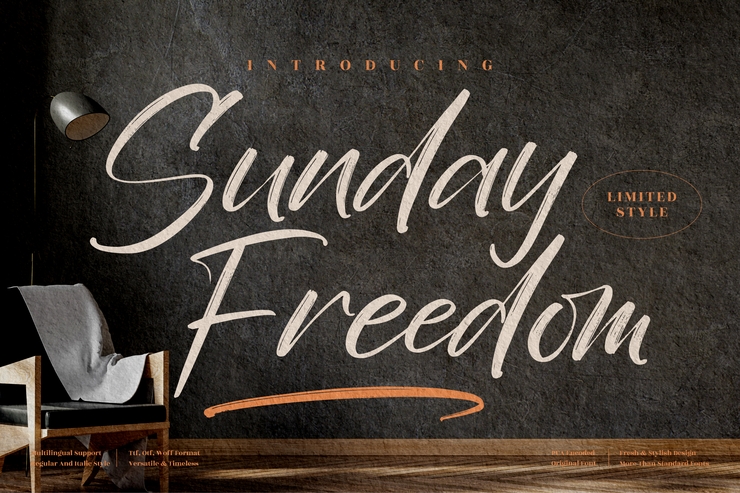 Sunday Freedom字体 6