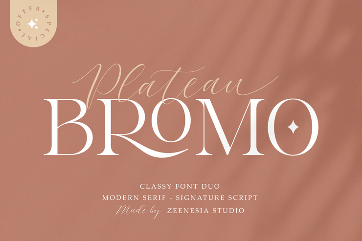 Bromo Plateau Serif字体 4