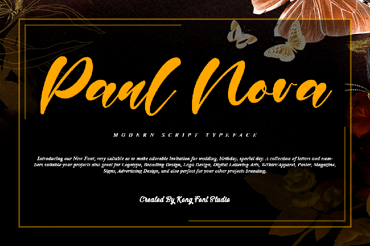 Paul Nora字体 1