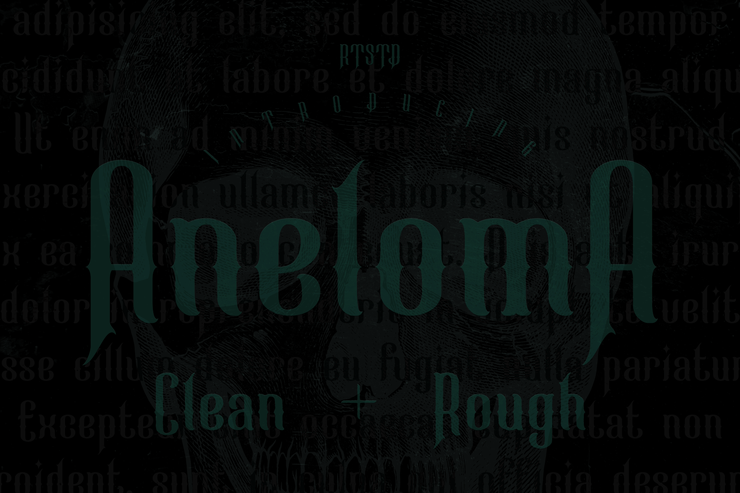 Aneloma Rough字体 3