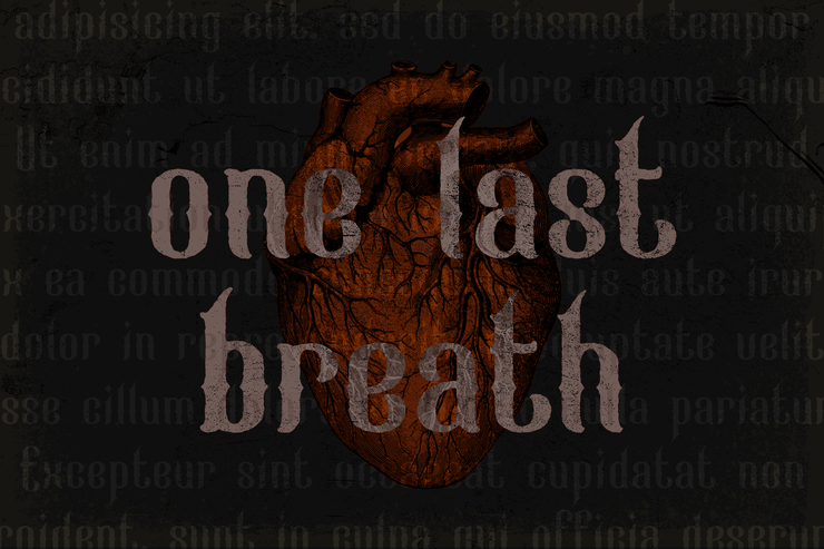 Aneloma Rough字体 5