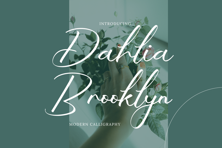 Dahlia Brooklyn字体 3