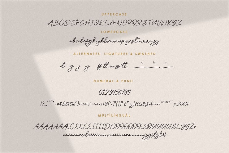 Marchey Signature字体 3
