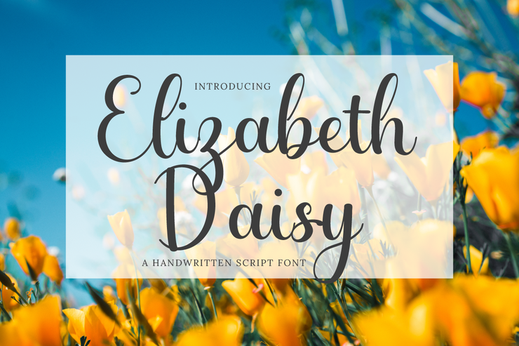 Elizabeth Daisy字体 2