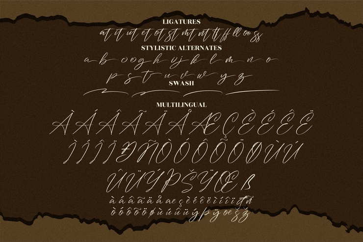 Washington Signature字体 5