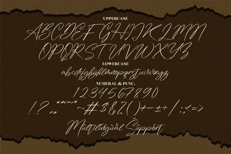 Washington Signature字体 6
