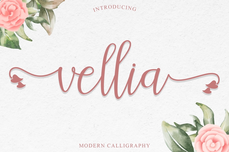 vellia字体 1