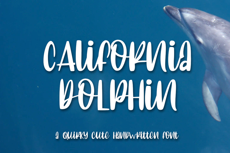 C Alifornia dolphin字体 5