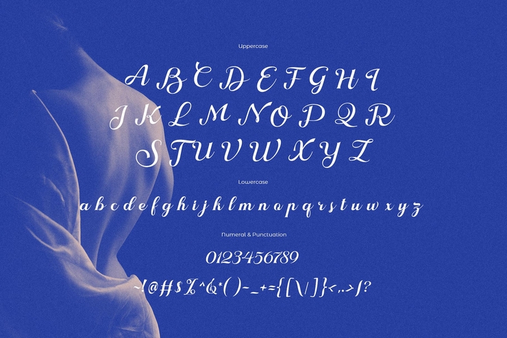 Nokarin字体 2