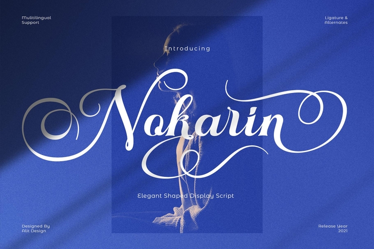 Nokarin字体 3