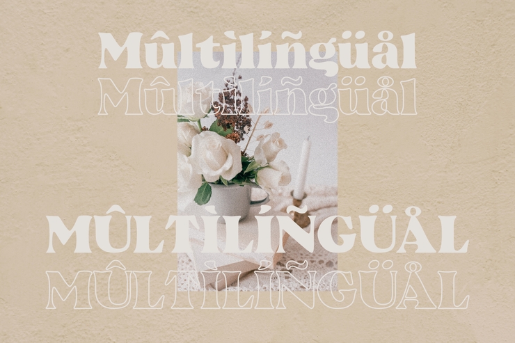 Beatrice - Retro Serif字体 4