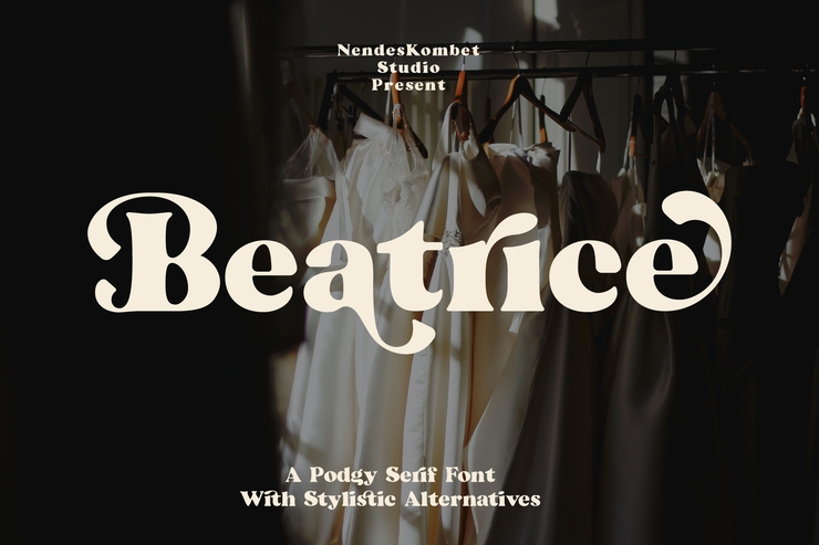 Beatrice - Retro Serif字体 5