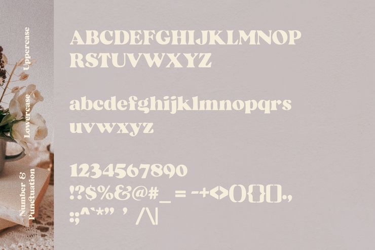 Beatrice - Retro Serif字体 6