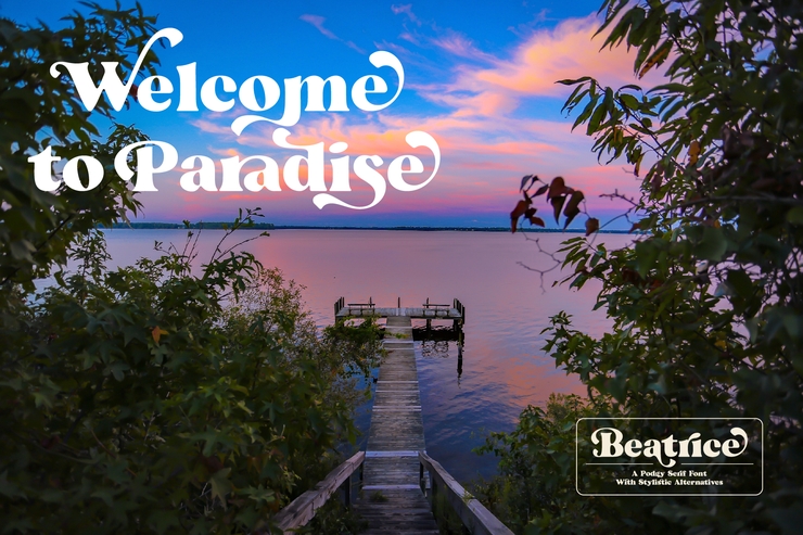 Beatrice - Retro Serif字体 8