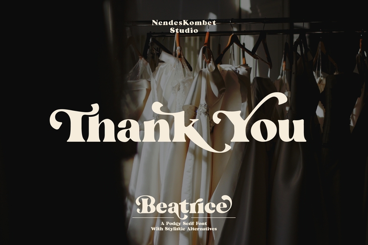 Beatrice - Retro Serif字体 10