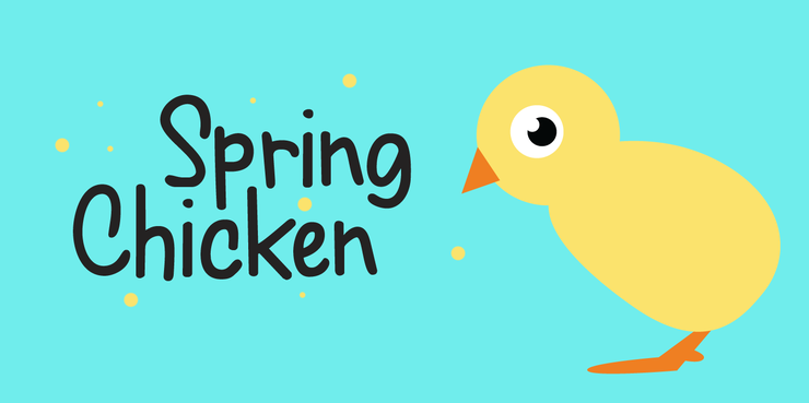 Spring Chicken DEMO字体 1