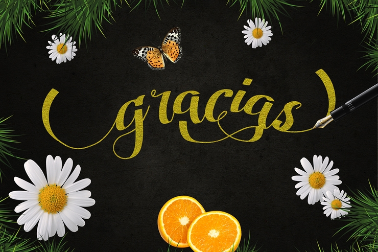 Amandella Script字体 2