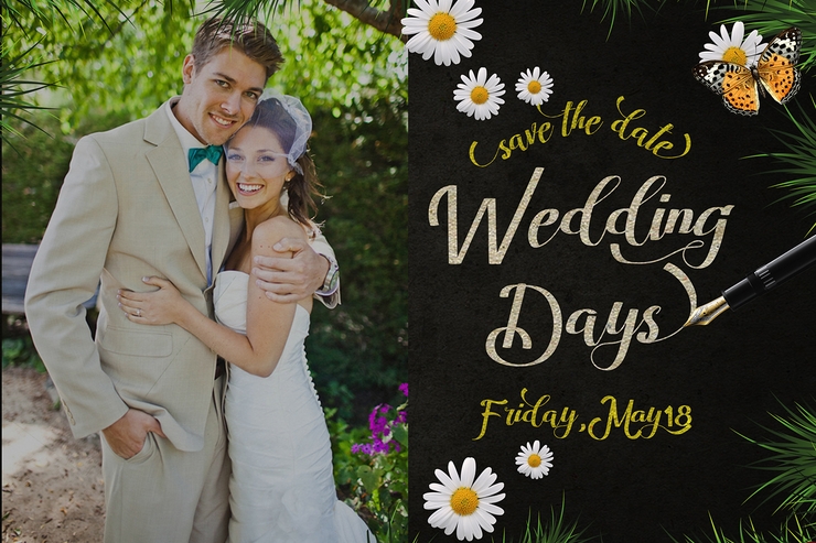 Amandella Script字体 5