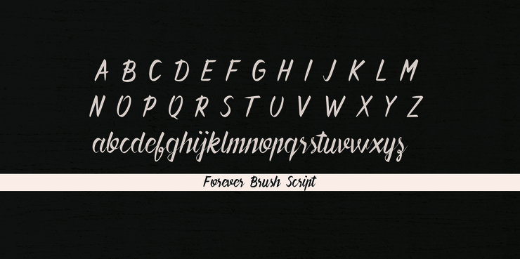 Forever Brush Script字体 4