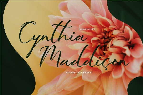 Cynthia Maddison字体 2