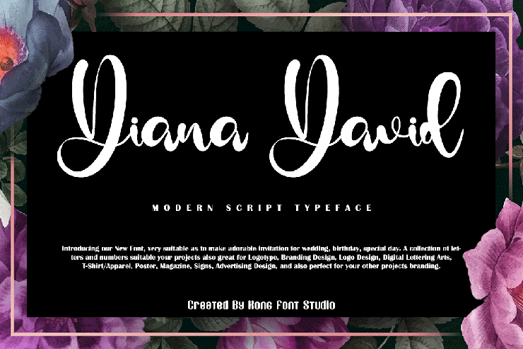 Diana David字体 1