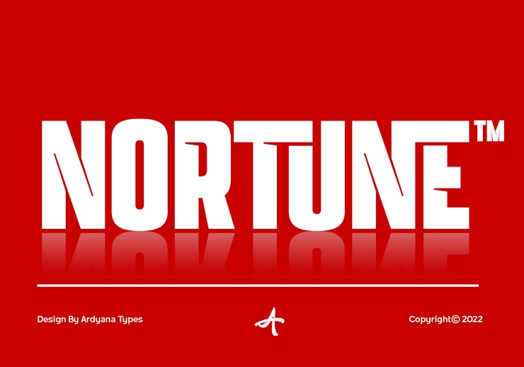 Nortune Extrablack字体 6