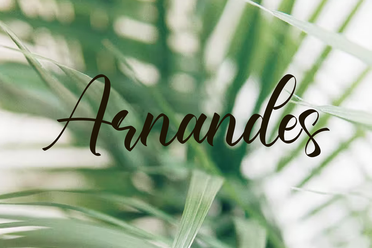 Arnandes字体 3