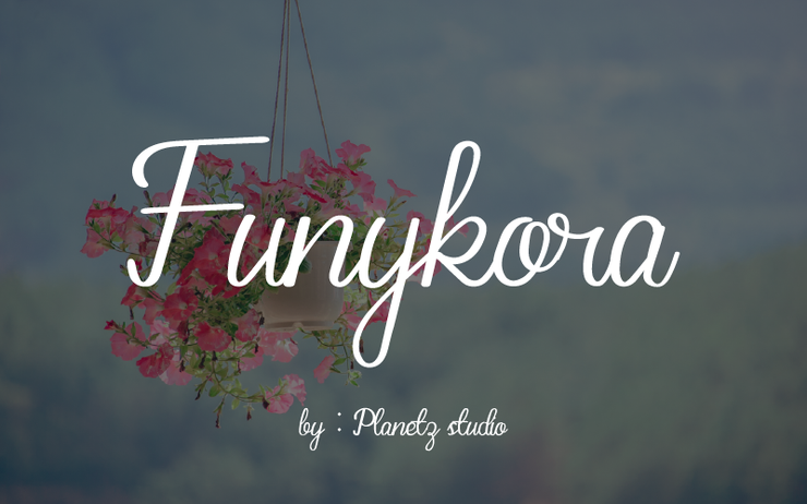 Funykora字体 3