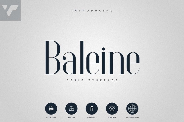 Baleine字体 5