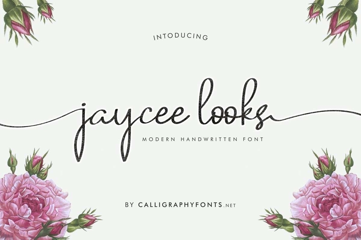 Jaycee Looks字体 1