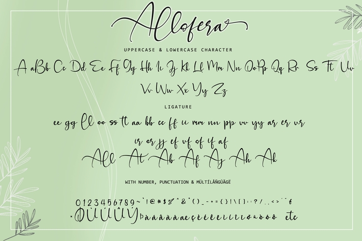 Allofera字体 3