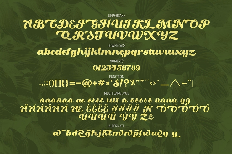 Oaklash字体 1
