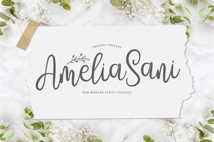Amelia Sani字体 1