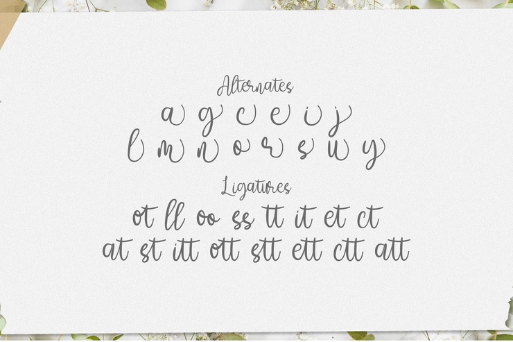 Amelia Sani字体 3