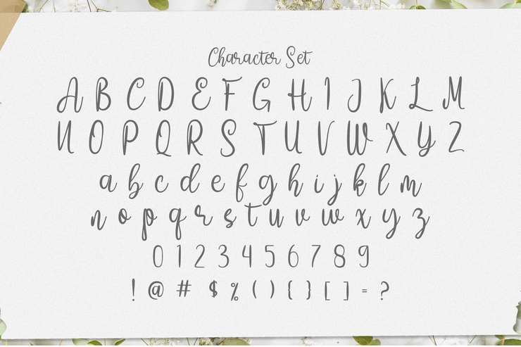 Amelia Sani字体 10