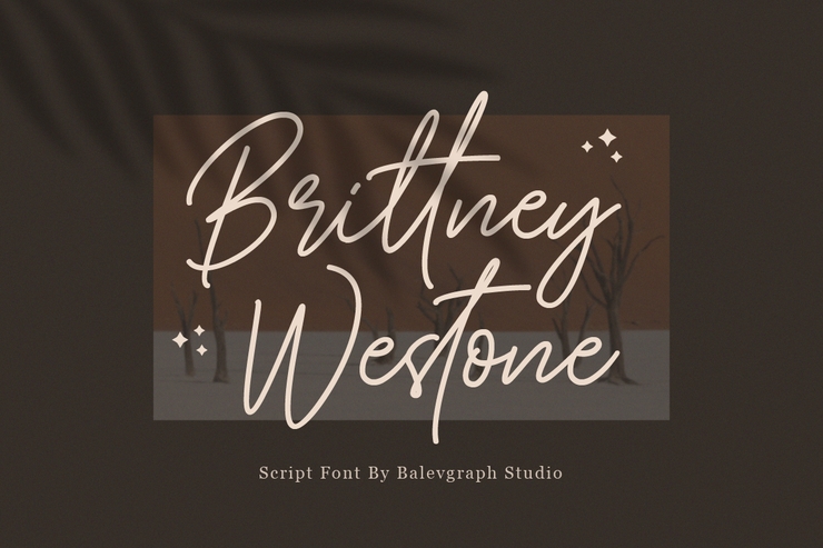 Brittney Westone字体 1