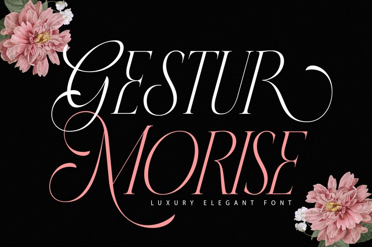 gestur morise字体 1